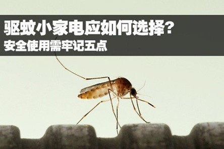 全球小家电十大品牌