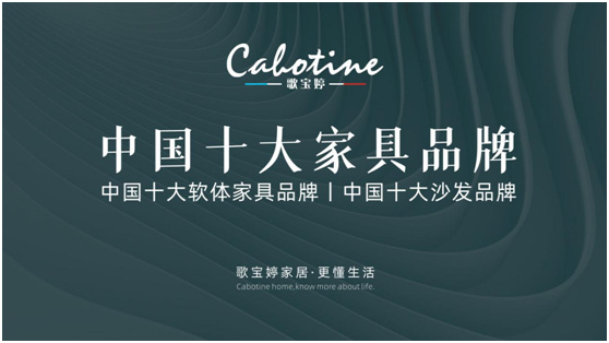 中国十大衣柜品牌排行榜_2021十大整体橱柜品牌TOP排行榜,美观、实用、持久耐用!