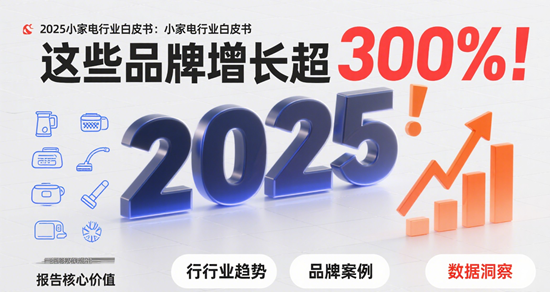 2025小家电行业白皮书：这些品牌增长超300%！