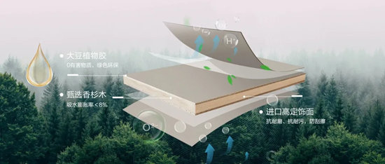 万象天冠丨预算有限也能装对，全屋定制避坑真心话